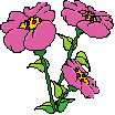 flower (151).g